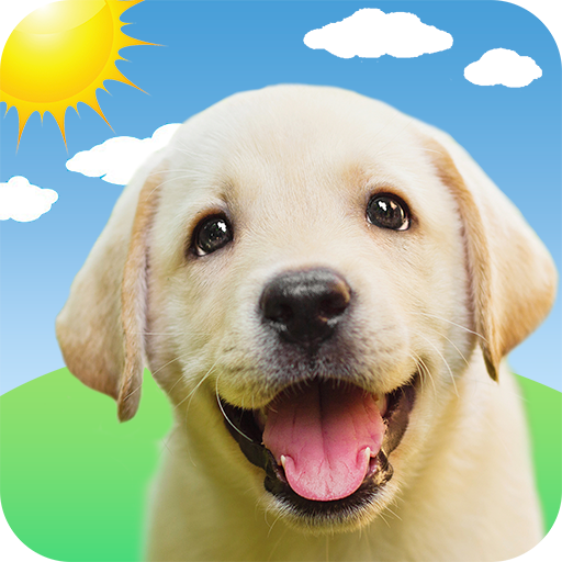 weather puppy app widget weather forecast
