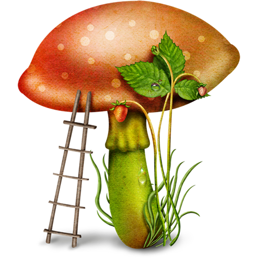 edible mushroom photos