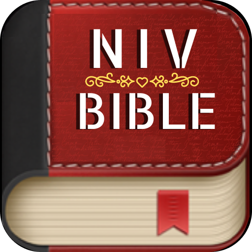 niv bible niv study bible
