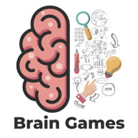 brain games puzzle for adults