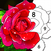 color by number coloring book