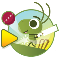 doodle cricket cricket game