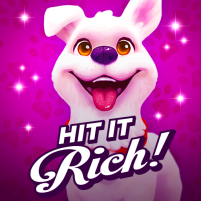 hit it rich casino slots game