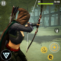 ninja archer assassin shooter