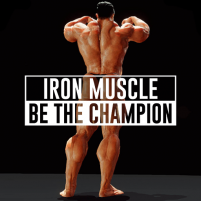 iron muscle iv gym game