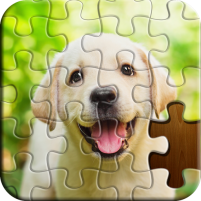 jigsaw puzzle classic puzzle games