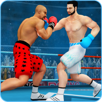 punch boxing game