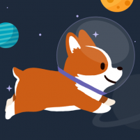 space corgi jumping dogs