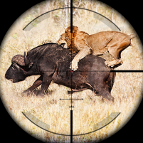 animals hunting games gun game