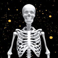 assemble skeleton