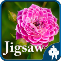 flower jigsaw puzzles