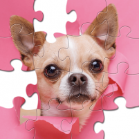 jigsaw puzzles collection hd