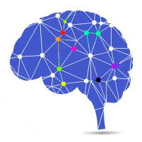 memory training brain test