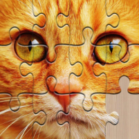 unlimited puzzles jigsaw for kids and adult