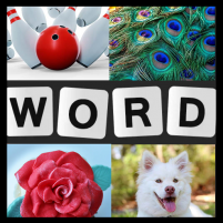 word picture iq word brain games for adults