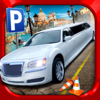 limousine car parking：big city