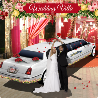 luxury wedding limousin game