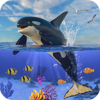 orca simulator killer whale simulator game