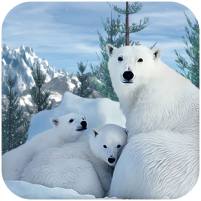 polar bear family survival