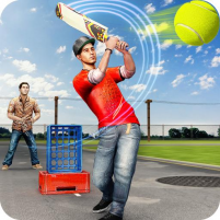 t20 street cricket game scaled