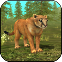 wild cougar sim 3d