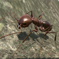 ant simulation 3d insect survival game