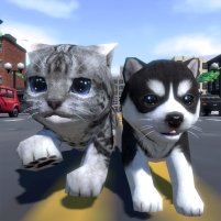 cute pocket cat and puppy 3d