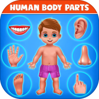 human body parts kids games