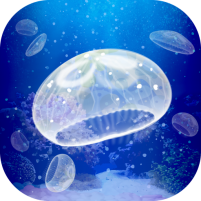 jellyfish pet