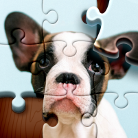 jigsaw puzzles puzzle game