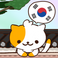 quiz cat learn korean