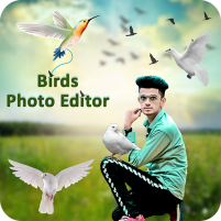 bird photo editor