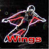 dive wings