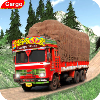 indian cargo truck driver