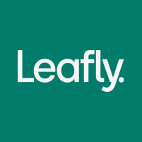 leafly find cannabis and cbd