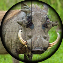 wild hunt pig sniper shooting scaled