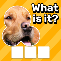 zoom quiz close up pics game