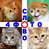 4 фото 1 слово где логика