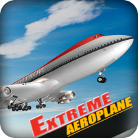 aeroplane flying simulator