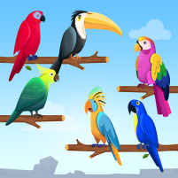 bird puzzle sort by color