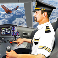 plane pilot flight simulator scaled