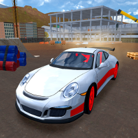 racing car driving simulator