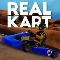 real go kart karting racing