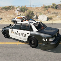 american police car driving