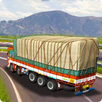 real indian cargo truck driver