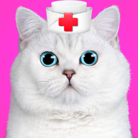 cat games pet doctor dentist