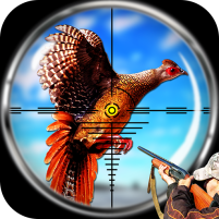 pheasant birds hunting games