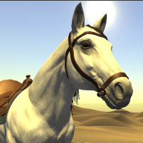 desert racing جراند الصحراء scaled