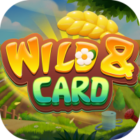 wild india card game