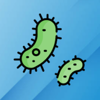 bacteria scaled